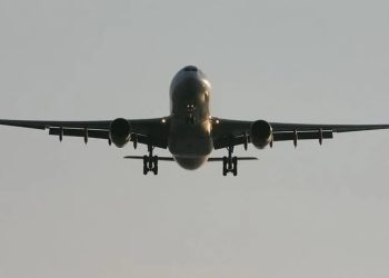 Hindistan'da uçakta yolcuyu akrep soktu