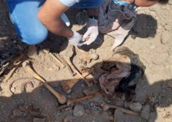 IŞİD zulmü: Şengal'de bir toplu mezar daha bulundu