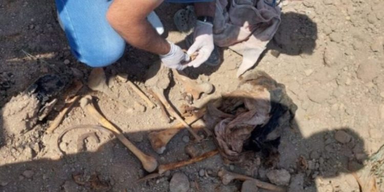 IŞİD zulmü: Şengal'de bir toplu mezar daha bulundu