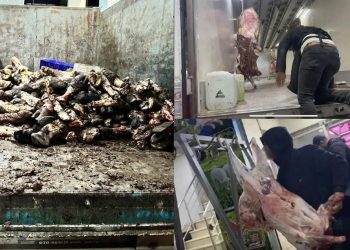 İstanbul’da mide bulandıran görüntüler! Kasapların çoğu et ve sakatatı buradan temin ediyor