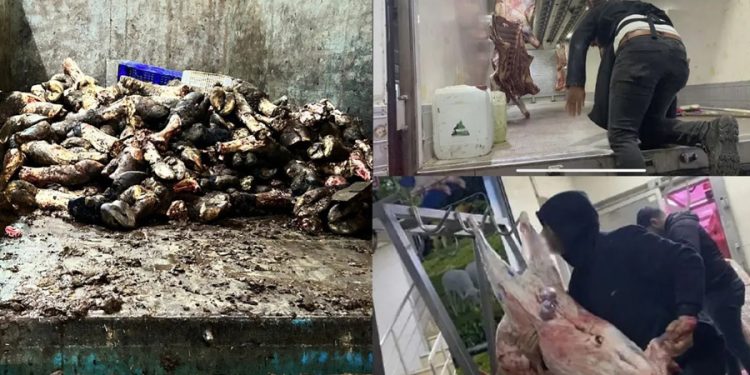 İstanbul’da mide bulandıran görüntüler! Kasapların çoğu et ve sakatatı buradan temin ediyor