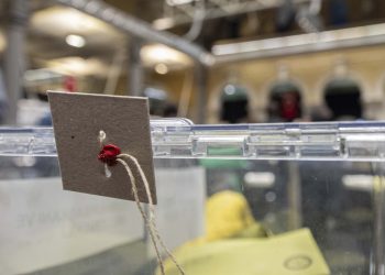 KONDA: Kılıçdaroğlu yüzde 50+1'e çok yakın, Erdoğan yüzde 44'ün altında