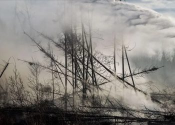 Kanada'nın Alberta eyaletinde olağanüstü hal ilan edildi