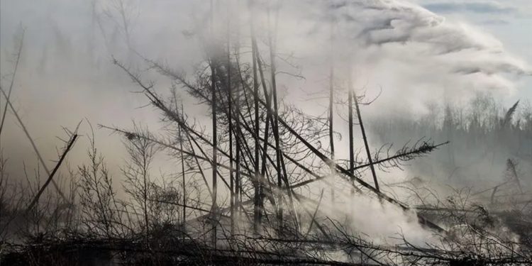 Kanada'nın Alberta eyaletinde olağanüstü hal ilan edildi