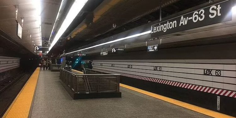 New York metrosunda Türkiyeli kadına saldırı: Boynu ve omurgası kırılan Emine Özsoy'un durumu ağır