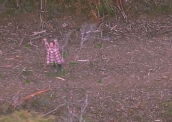 Ormanda 5 gün boyunca mahsur kalan kadını yanındaki şarap kurtardı: İlk isteği sigara oldu