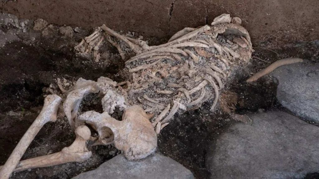 Pompeii Arkeoloji Parkı'nda yeni buluntular ortaya çıktı