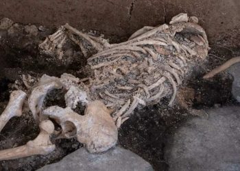 Pompeii Arkeoloji Parkı'nda yeni buluntular ortaya çıktı