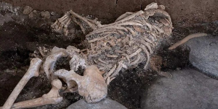 Pompeii Arkeoloji Parkı'nda yeni buluntular ortaya çıktı