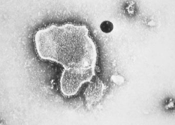 RSV aşısına dünyada ilk onay