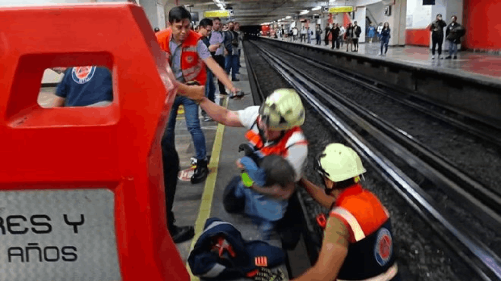 Raylara giren tavuk ortalığı karıştırdı: Metro seferleri aksadı