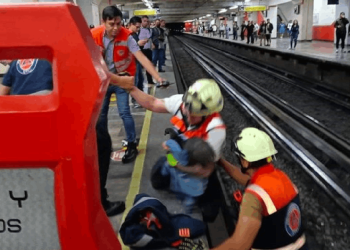 Raylara giren tavuk ortalığı karıştırdı: Metro seferleri aksadı
