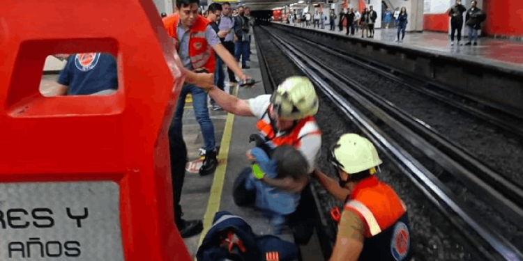 Raylara giren tavuk ortalığı karıştırdı: Metro seferleri aksadı