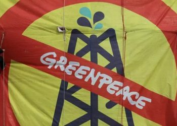 Rusya, Greenpeace'i yasakladı: 'İstenmeyen kuruluş' ilan edildi