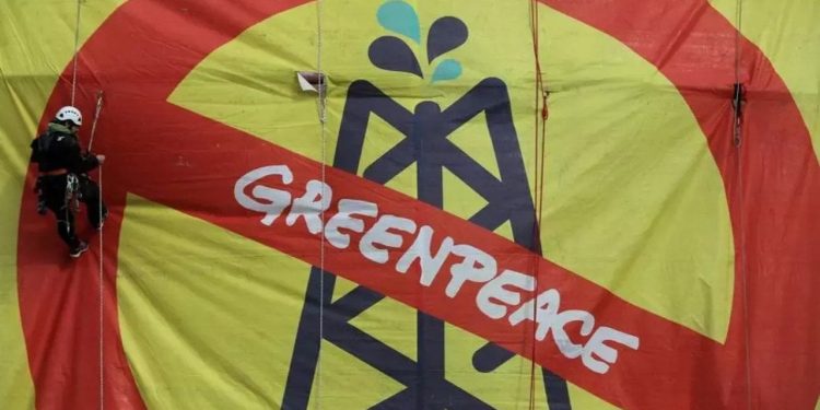 Rusya, Greenpeace'i yasakladı: 'İstenmeyen kuruluş' ilan edildi