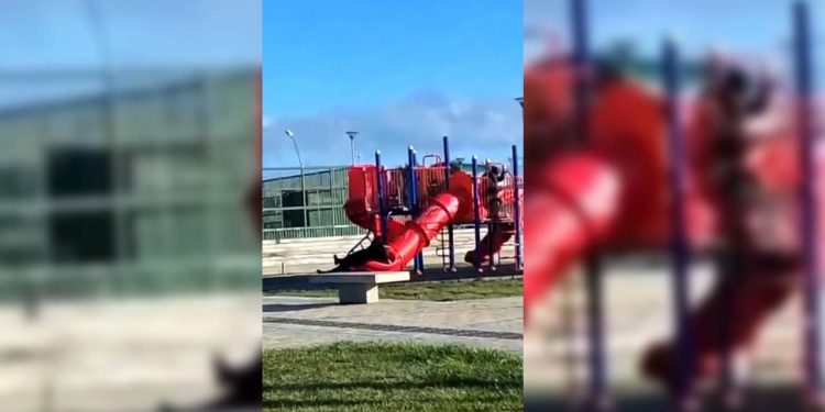 Şili lideri Boric'in kaydırakta sıkıştığı anlar gündem oldu