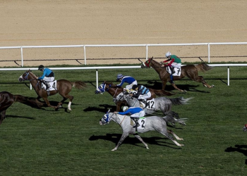 TBMM Koşusu, Ankara'da yarın yapılacak