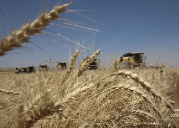 Tarım Ürünleri Üretici Fiyat Endeksi (Tarım ÜFE) nisanda bir önceki aya göre yüzde 2,32 gerilerken geçen yılın aynı ayına kıyasla yüzde 71,52 artış gösterdi.