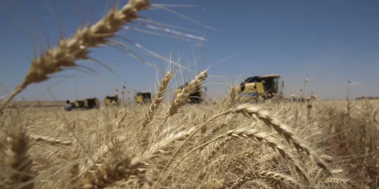 Tarım Ürünleri Üretici Fiyat Endeksi (Tarım ÜFE) nisanda bir önceki aya göre yüzde 2,32 gerilerken geçen yılın aynı ayına kıyasla yüzde 71,52 artış gösterdi.