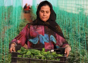 Tarımda enflasyon hız kesmeden sürüyor!