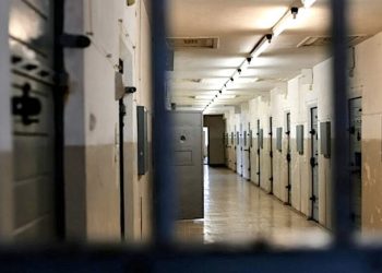 Timur Soykan: Cezaevinde hükümlünün çıplak arandığı görüntüler, dava dosyasına girdi