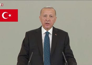 Türkiye yol ayrımında; demokrasiye dönüş ya da daha fazla baskı