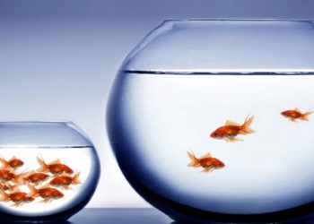 Türkiye'de zenginler toplam gelirin yüzde 48'ini, yoksullar yüzde 6'sını alıyor