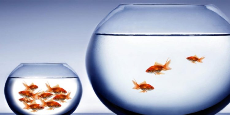 Türkiye'de zenginler toplam gelirin yüzde 48'ini, yoksullar yüzde 6'sını alıyor