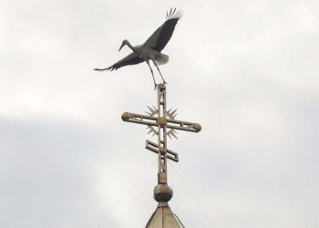 Ukrayna Ortodoks Kilisesi Gregoryen takvime geçiyor