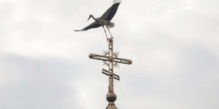 Ukrayna Ortodoks Kilisesi Gregoryen takvime geçiyor