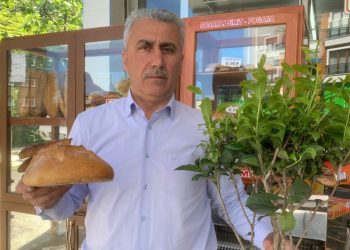 Üreticilerden alım fiyatına tepki: '1 kilo yaş çay, iki ekmek etmiyor'