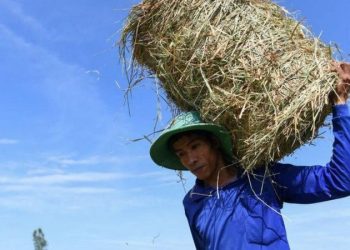 Vietnam, 44,1 santigrat dereceyle, şimdiye dek kayıtlara geçen en yüksek sıcaklığı gördü. Uzmanlar, iklim değişikliği nedeniyle bu rekorun da kısa sürede kırılacağı görüşünde.