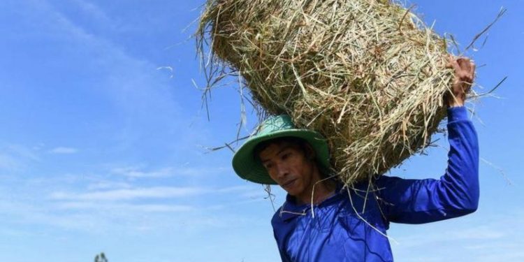 Vietnam, 44,1 santigrat dereceyle, şimdiye dek kayıtlara geçen en yüksek sıcaklığı gördü. Uzmanlar, iklim değişikliği nedeniyle bu rekorun da kısa sürede kırılacağı görüşünde.