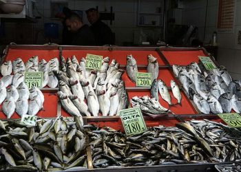 Yasak sonrası tezgahtaki balık fiyatları arttı