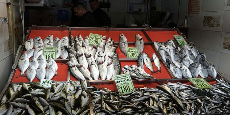 Yasak sonrası tezgahtaki balık fiyatları arttı