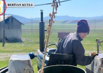 Yeşil Sol Parti’nin çiftçi kadın adayı Tarlan: İkinci yüzyılı biz kuracağız