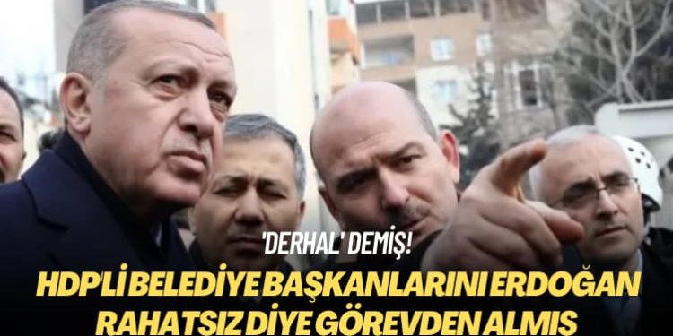 ‘Derhal’ demiş! Soylu, Erdoğan rahatsız diye HDP’li belediye başkanlarını görevden almış
