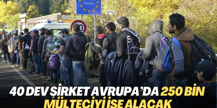 40 dev şirket Avrupa’da 250 bin mülteciyi işe alacak