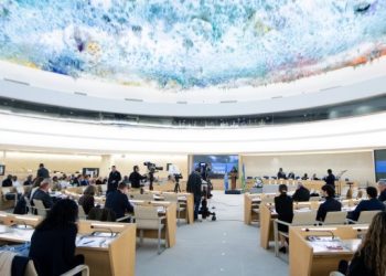 BM Raportöründen dijital yenilikte ‘ırkçılık ve ayrımcılık’ uyarısı