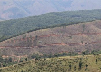 Şenyayla’daki ağaç kesimi Meclis gündeminde
