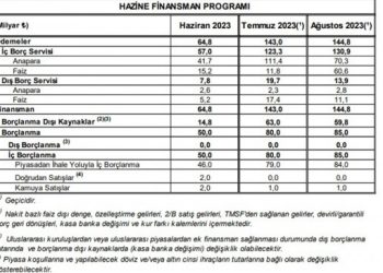 Hazine 215 milyar lira borçlanacak