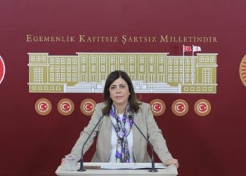 Beştaş: Kürt sorunu çözülmeden ekonomik sorun çözülmez