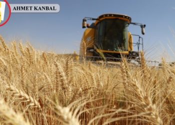 Çiftçi kaybediyor, fırsatçılar piyasayı hortumluyor