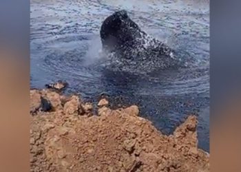 İktidar medyasının ‘Gabar’da petrol fışkırıyor’ dediği görüntü Venezuela’dan