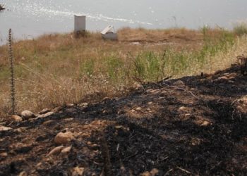 ÖHD Riha Ekoloji Komisyonu’ndan anız yakmaya karşı uyarı!