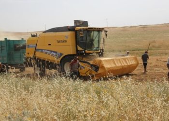 Dövizdeki dalga çiftçiyi zorlayacak!