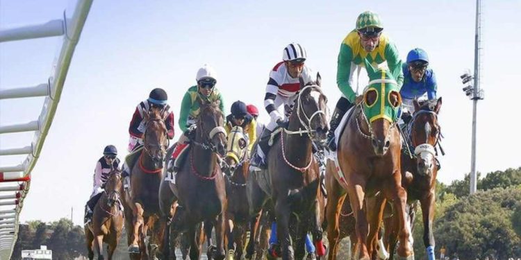 97'nci Gazi Koşusu tamamlandı: Urfa Aslanı 5 milyon liralık ödülü kazandı