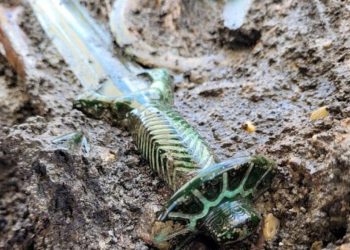 Almanya’da üç bin yıldan eski bronz kılıç bulundu