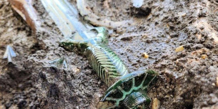 Almanya’da üç bin yıldan eski bronz kılıç bulundu