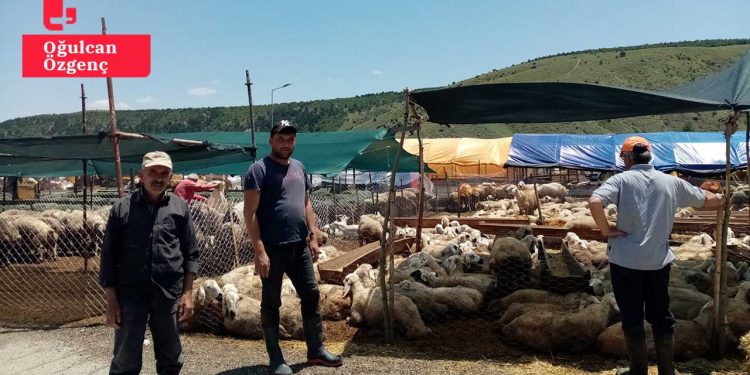 Ankara kurban pazarına ne gelen var ne giden: ‘Bu işi yapmayalım diye ellerinden geleni yapıyorlar’